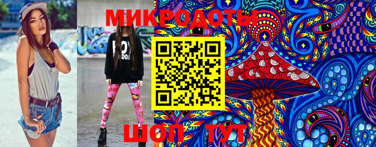 Псилоцибиновые грибы прущие грибы  Галлюциногенные грибы Cubensis  Асино  Вход с VPN 